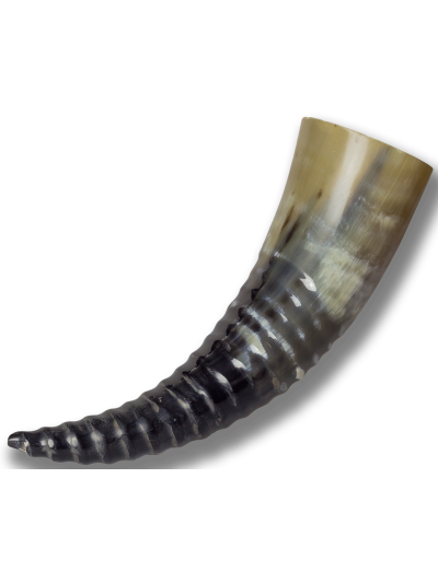 Trollfelsen Trinkhorn gedreht Natur